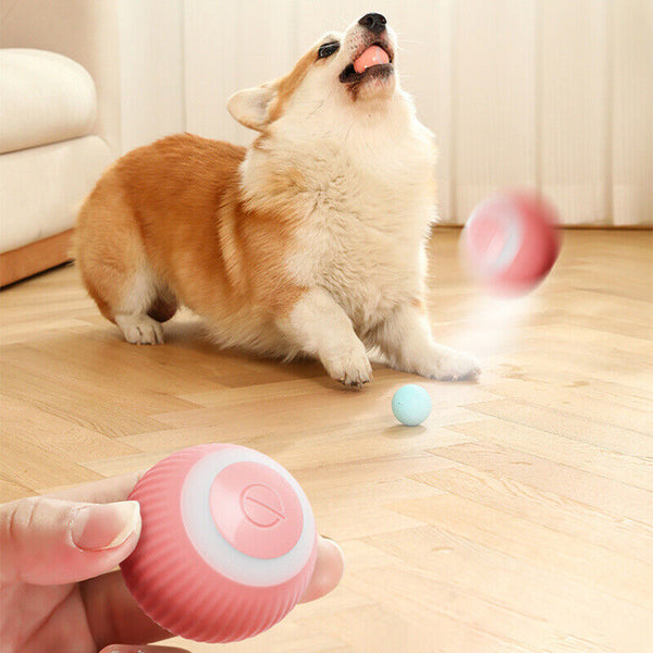Automatic Rolling Ball Smart Electric Self-moving Pet Cat Dog Interactive Toy AU