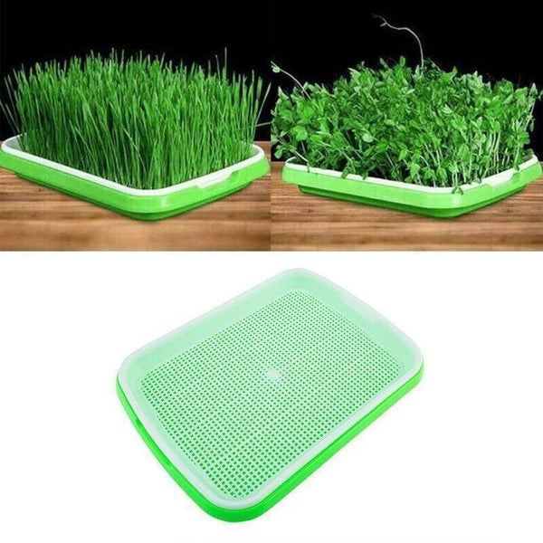 Microgreens tray, Seeding Cloning Hydroponic Germination Bean Sprout Planting AU