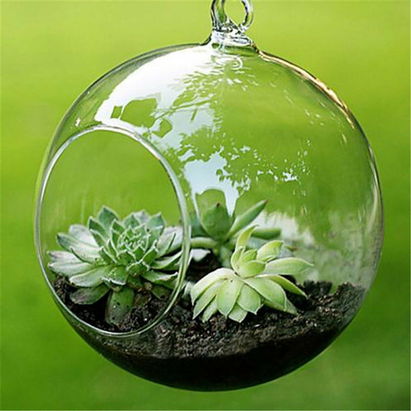 2Pcs Hanging Glass Ball Vase Flower Planter Pot Terrarium Container Home Garden