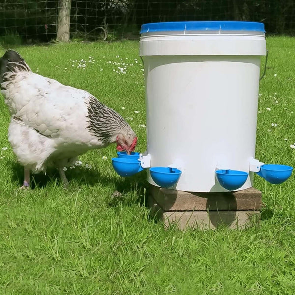20PCS Automatic Chicken Water Cup Waterer Poultry Drinker Feeder Drinking Bowl A