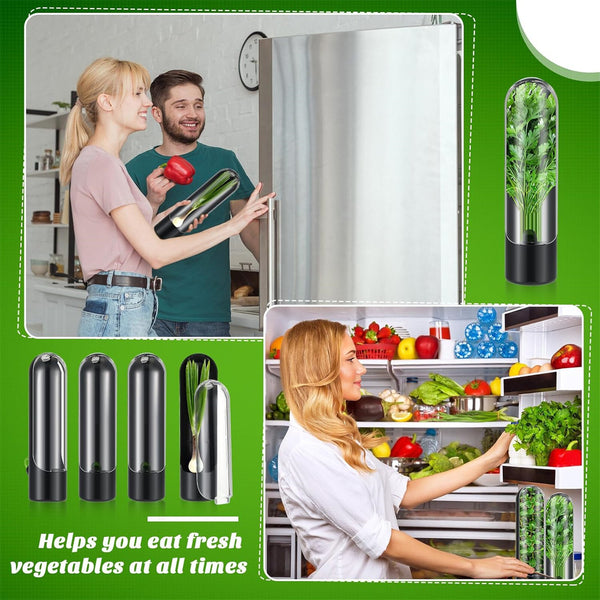 3pcs Herb Saver Keeper for Refrigerator | Fresh Produce Storage Container for Herbs & Vegetables