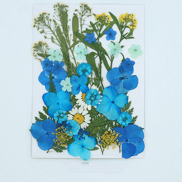 5 Sets Pressed Dried Flowers Scrapbooking Resin Art DIY Craft Decoration