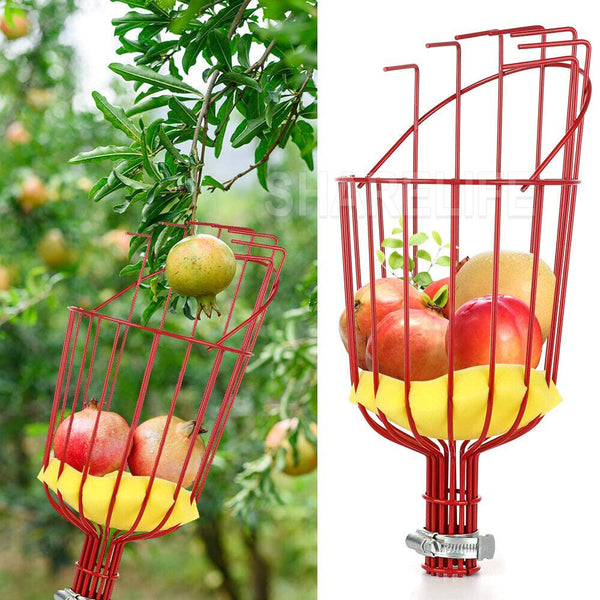Red Horticultural Convenient Labor saving Fruit Picker Tool Apple Picking Garden