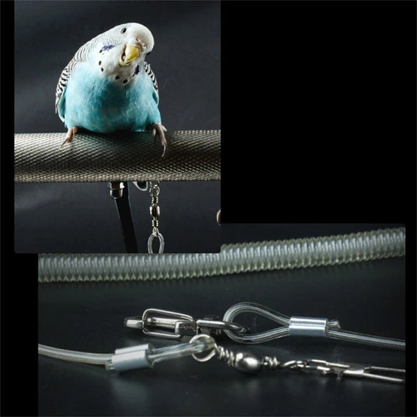 3M Bird Leash And Leg Ring Ultra-light Parrot Bird Harness Training Rope