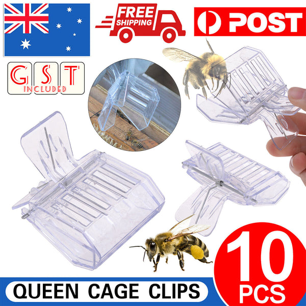 10pcs Queen Cage Clip Bee Catcher Beekeeper Beekeeping Tool Plastic Equipment AU