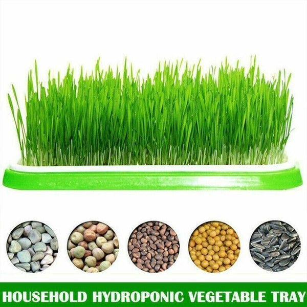 Microgreens tray, Seeding Cloning Hydroponic Germination Bean Sprout Planting AU