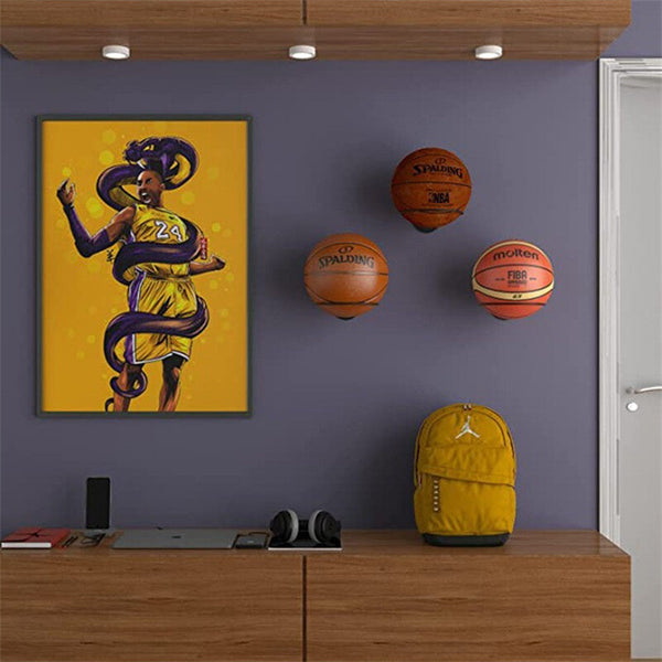 2 Pack Wall Mount Ball Holder