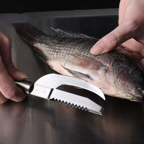 2x Stainless Steel Fish Scales Grater Fish Skin Brush Fish Scaler Fish Maw Knife