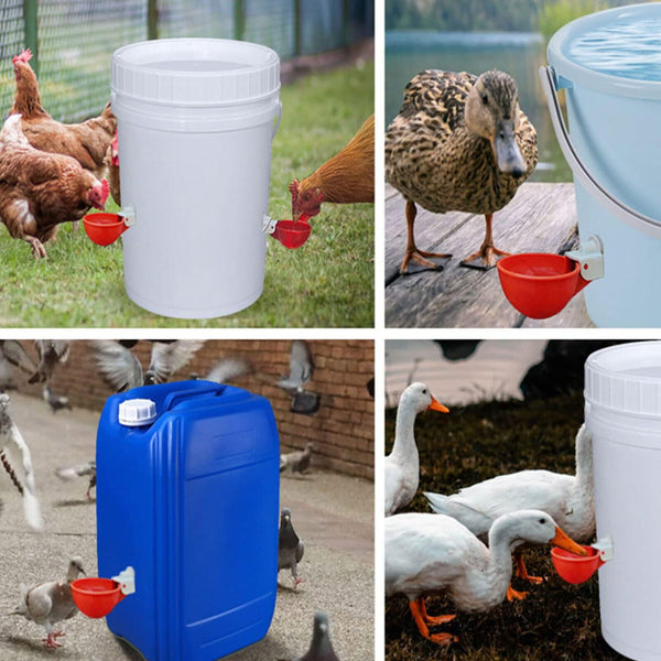 5PCS Automatic Chicken Water Cup Waterer Poultry Drinker Feeder Drinking Bowl