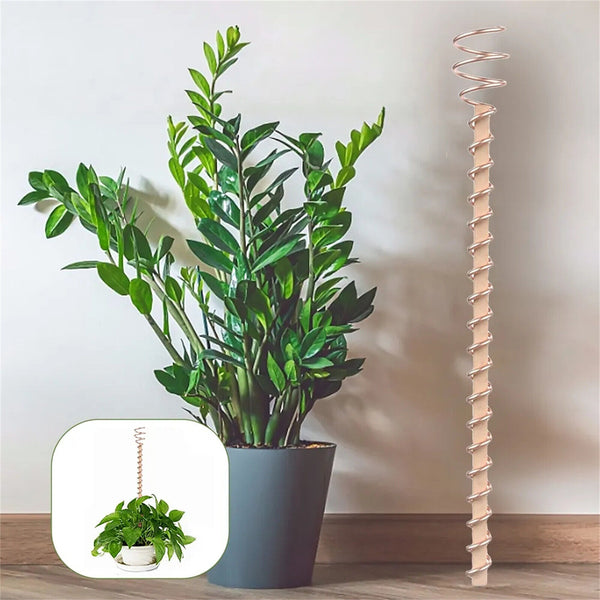 Electroculture Garden Copper Coils Plant Support Stake for Vegetables