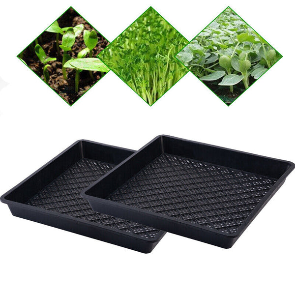 Seedling Tray Fine Hole Plant Propagation Seedling Hydroponic 42x42x5.5cm