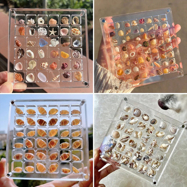 Acrylic Magnetic Seashell Display Box, 36/64/100Grids Seashell Display Organizer
