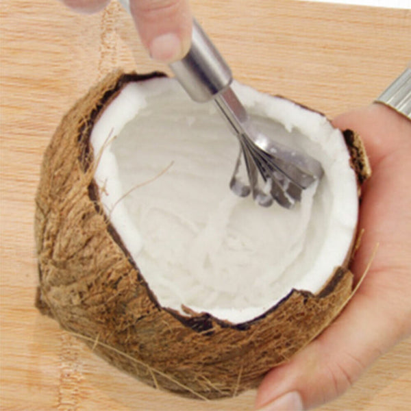 Stainless Steel Kitchen Fruit Fish Coconut Shaver Clean Scales