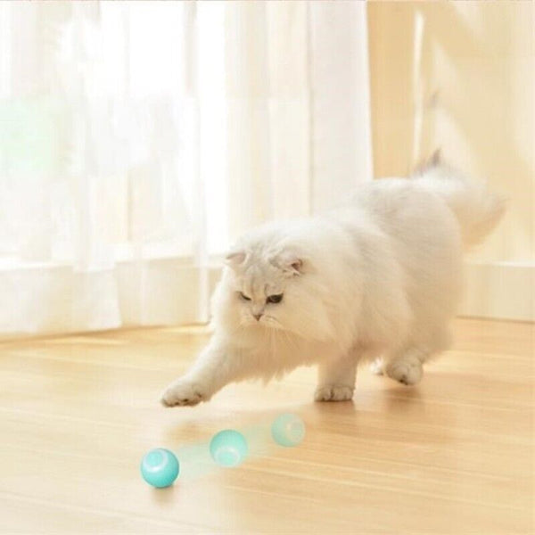 Automatic Rolling Ball Smart Electric Self-moving Pet Cat Dog Interactive Toy AU