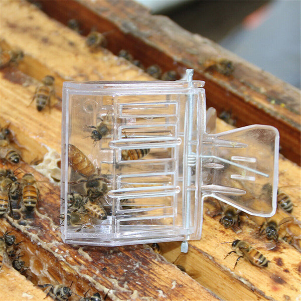 10pcs Queen Cage Clip Bee Catcher Beekeeper Beekeeping Tool Plastic Equipment AU