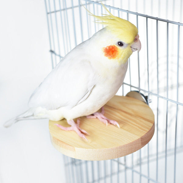 Hamster Parrot Play Stand Jump Platform Squirrel Cage Accessories Gear Pet Toy