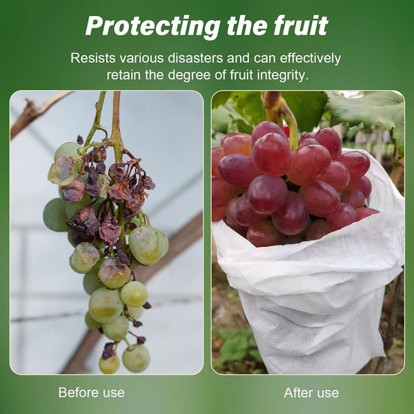 100-1000x Grape Protection Mesh Bags Fruit Vegetable Against Insect Waterproof