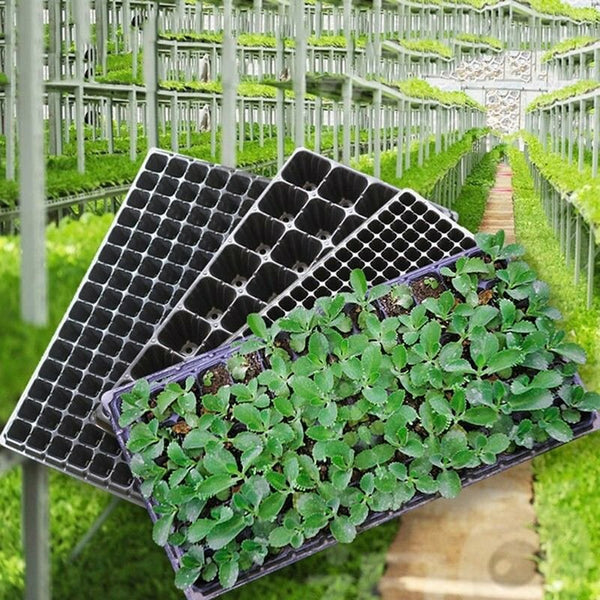 10PCS 72 Cell Seed Starter Trays Seedling Germination Nursery Propagation Trays