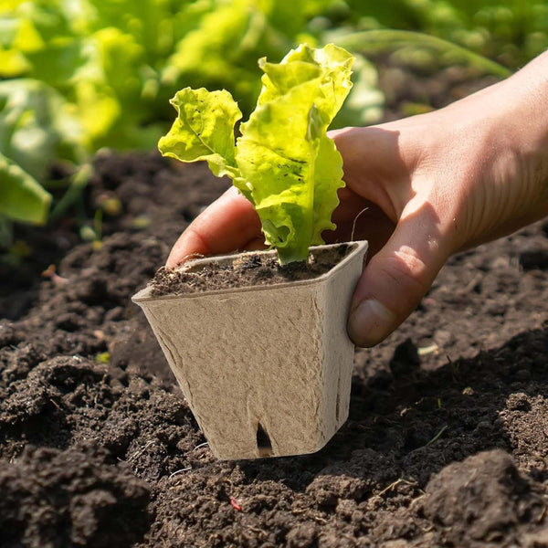 100PCS Seed Starter Peat Gardening Seedling Cup + 100PCS Plant Seed Labels