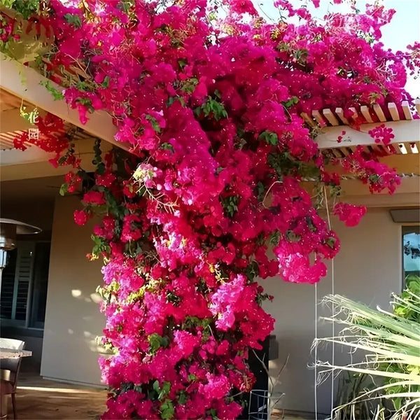 2X Silk Bougainvillea Branches Bougainvillea Artificial Flowers Iron Wire Stem