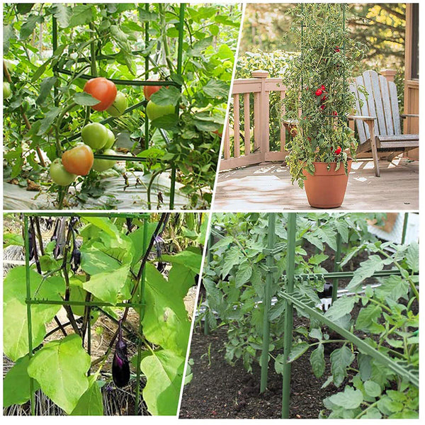 12/24PCS Stake Arms For Garden Tomato Cage Plant Growth Aid Support Plant Stem