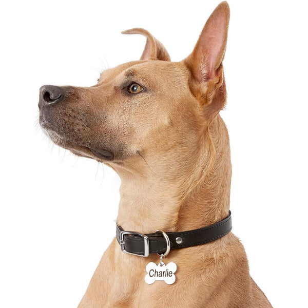 Bone Pet ID Tag Dog Puppy Name Tags Personalised Laser Engraved Etched Aluminium