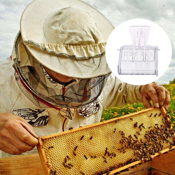 10pcs Queen Cage Clip Bee Catcher Beekeeper Beekeeping Tool Plastic Equipment AU