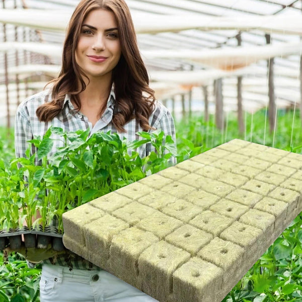 100PCS Rock Wool Planting Cubes with Plant Tags Hydroponic Grow Starter