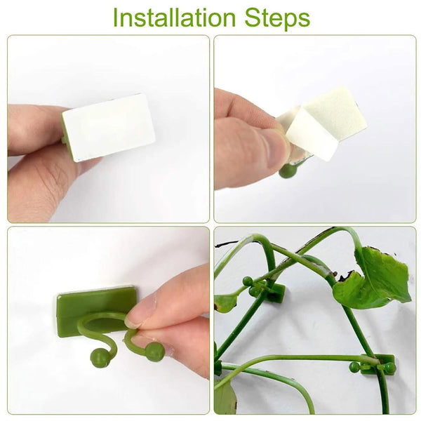 100Pcs Invisible Wall Rattan Clamp Clip Plant Climbing Wall Clip Wall Vines Fixt