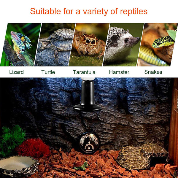 2X Ceramic Heat Lamp Bulb Reptile Heater E27