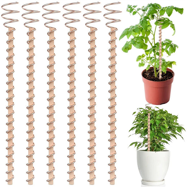 Electroculture Garden Copper Coils Plant Support Stake for Vegetables