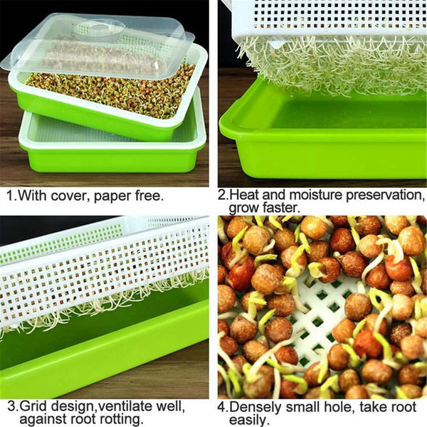 1PC Seed Sprouter Tray with Lid BPA Free Bean Sprout Grower Sprouting Seeds Tray