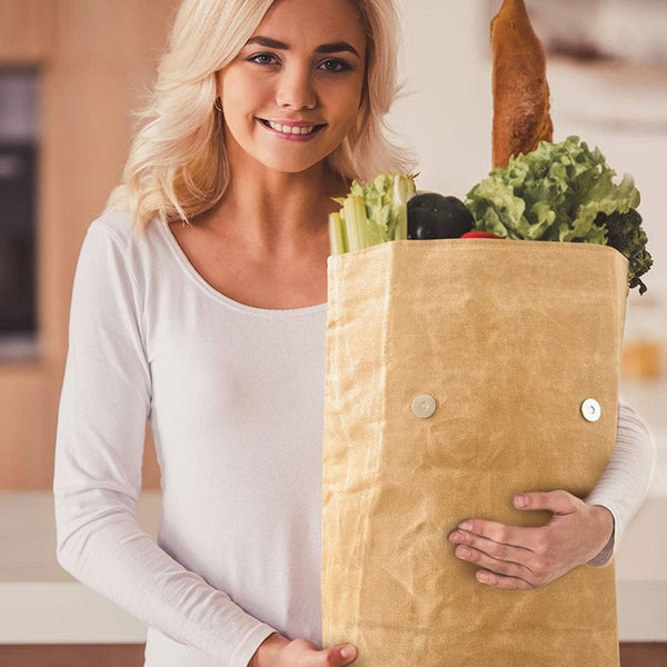 Insulated Kraft Lunch Bag Insulated Lunch Bag Canvas Lunch Bag Picnic Cooler Bag