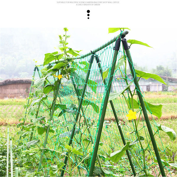 Metal Garden Trellis Climbing Frame Set for Raised Beds – Detachable A Frame Plant Support with Mesh and Clips
