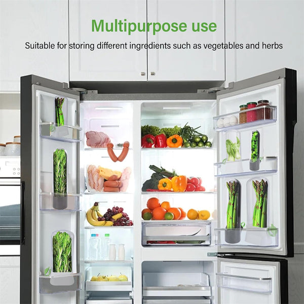 3pcs Herb Saver Keeper for Refrigerator | Fresh Produce Storage Container for Herbs & Vegetables