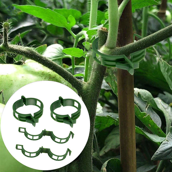 200PCS Tomato Greenhouse Ties Veggie Plant Support Clips Garden trellis Stake AU