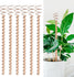 Electroculture Garden Copper Coils Plant Support Stake for Vegetables