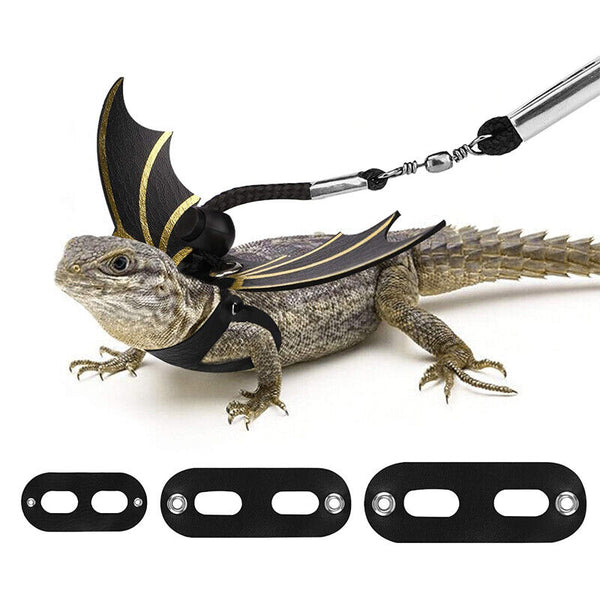 Lizard Harness Leash Bearded Dragon+Cool Leather Wings Reptile Adjustable AU