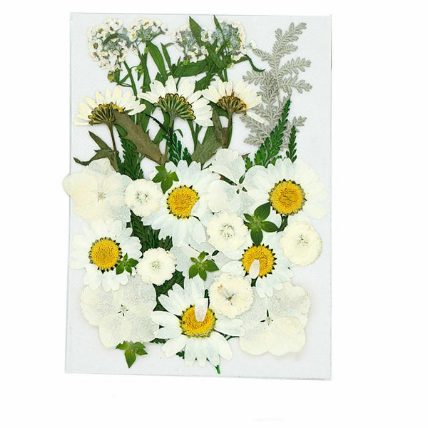 5 Sets Pressed Dried Flowers Scrapbooking Resin Art DIY Craft Decoration