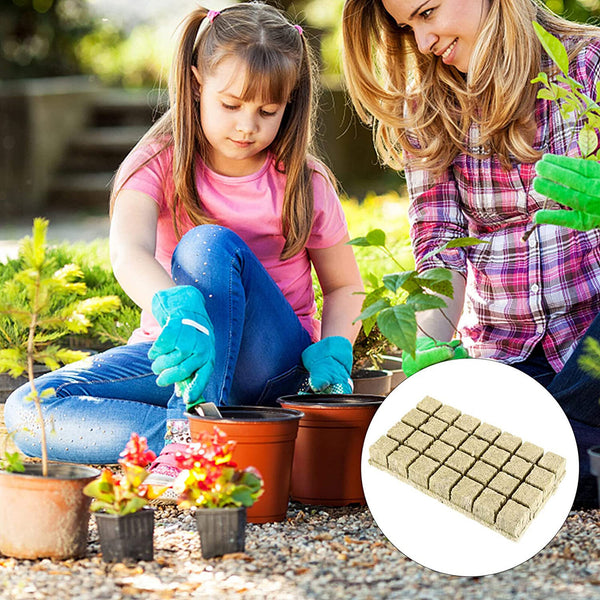 100PCS Rock Wool Planting Cubes with Plant Tags Hydroponic Grow Starter