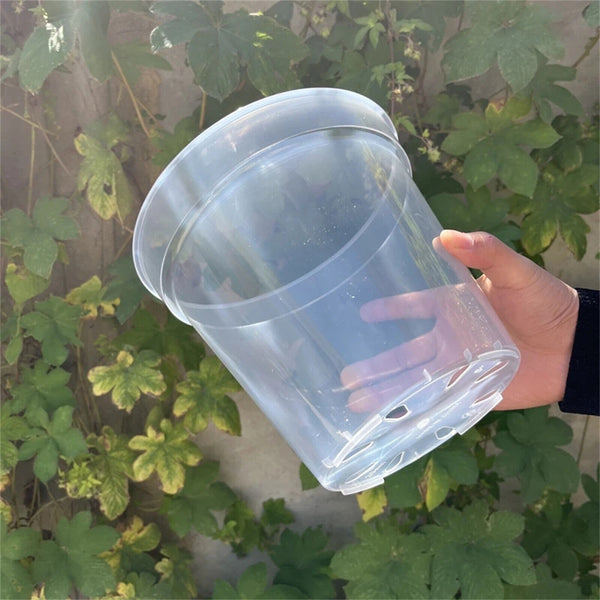 10X Clear Plastic Orchid Pots with Holes | Phalaenopsis, Paphiopedilum 76MM AUS