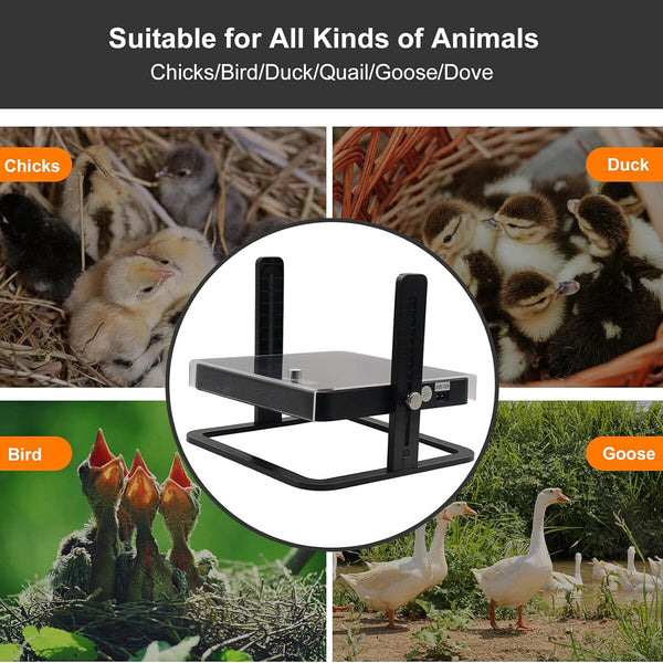 Chick Brooder Heating Plate – Adjustable Poultry Coop Warmer