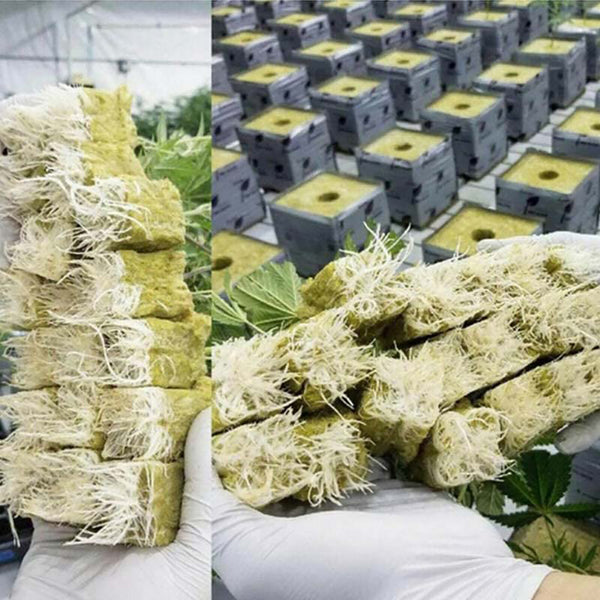 100PCS Rock Wool Planting Cubes with Plant Tags Hydroponic Grow Starter