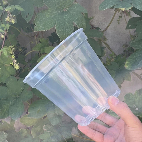10X Clear Plastic Orchid Pots with Holes | Phalaenopsis, Paphiopedilum 76MM AUS