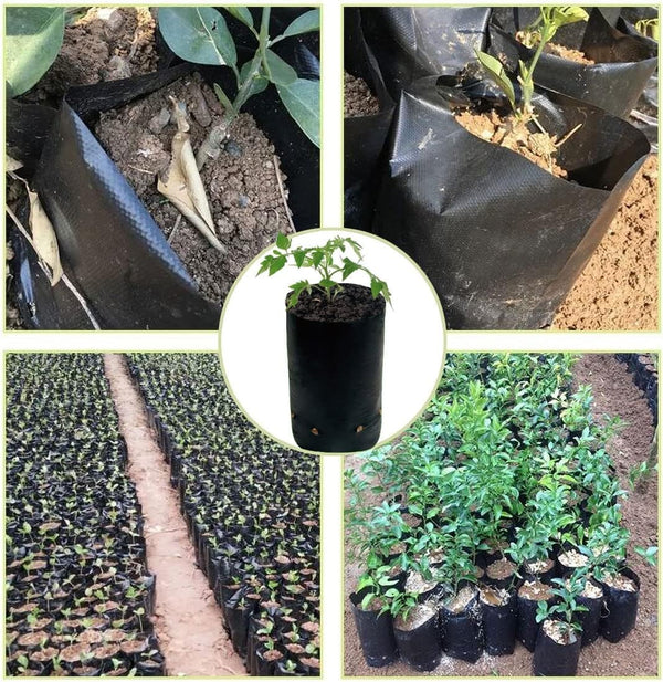 300PCS Plant Grow Bags PE Seedling Nursery Bags with Breathable Drainage Holes
