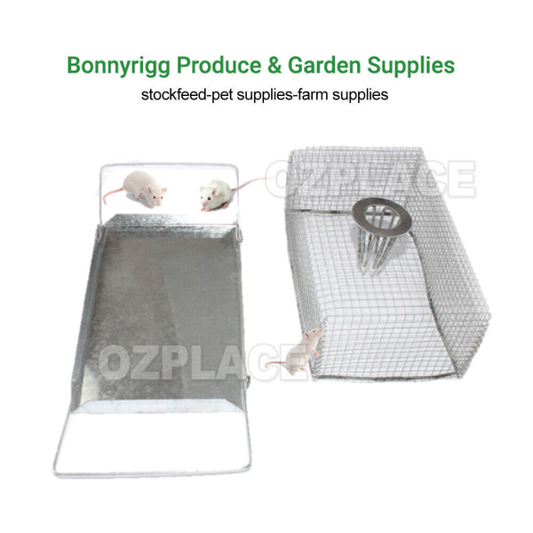 Rodent Rat Mouse Mice Trap Cage Catcher Top Entry Humane Small Animals Pest AU