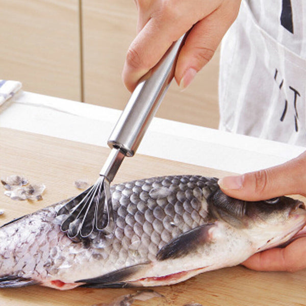 Stainless Steel Kitchen Fruit Fish Coconut Shaver Clean Scales