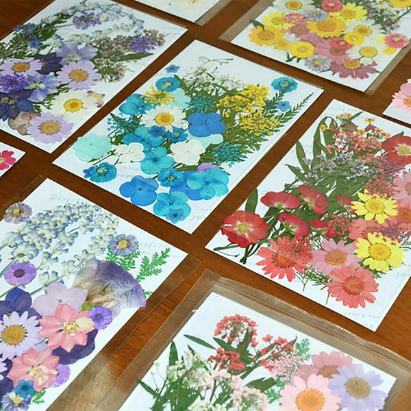 5 Sets Pressed Dried Flowers Scrapbooking Resin Art DIY Craft Decoration