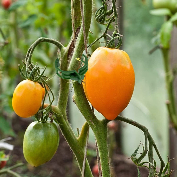 500PCS Green Veggie Garden Plant Support Clip Trellis Twine Greenhouse Vegetable