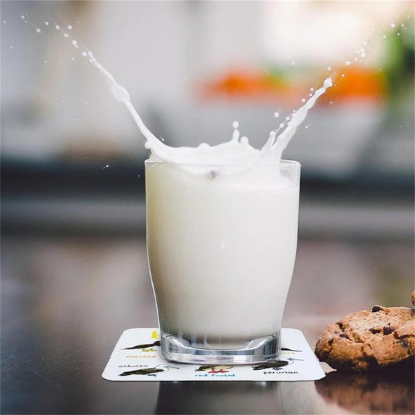 Set of 6 Bird Pun Coasters Funny Coasters for Drinks Kitchen Bar Decoration Gift